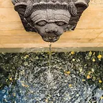 Mala Garden Design מלון
